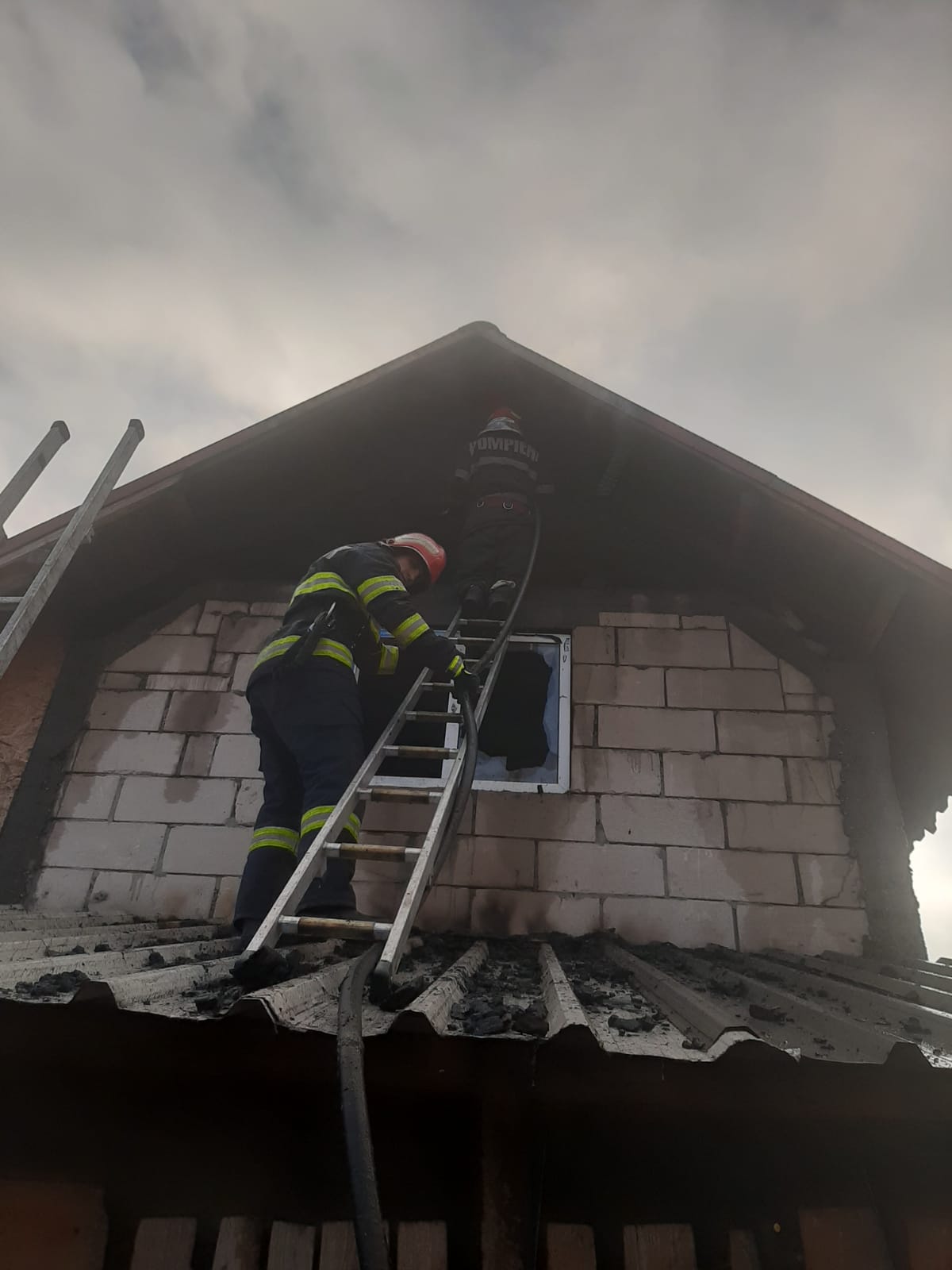 WhatsApp Image 2021-01-24 at 13_04_59