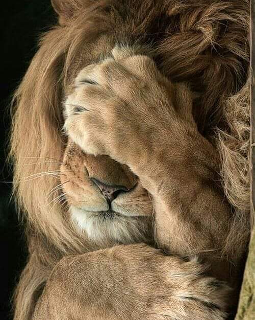 FB_IMG_1613323043142