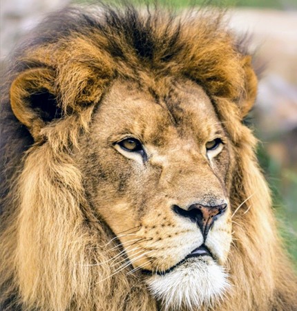 IMG_20201119_010429~2