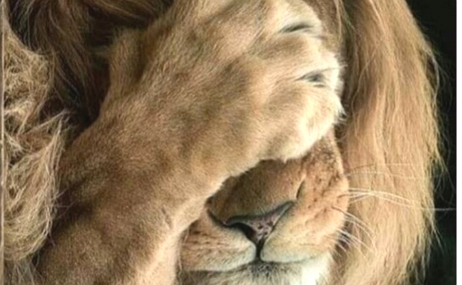 Screenshot_20210726_160432