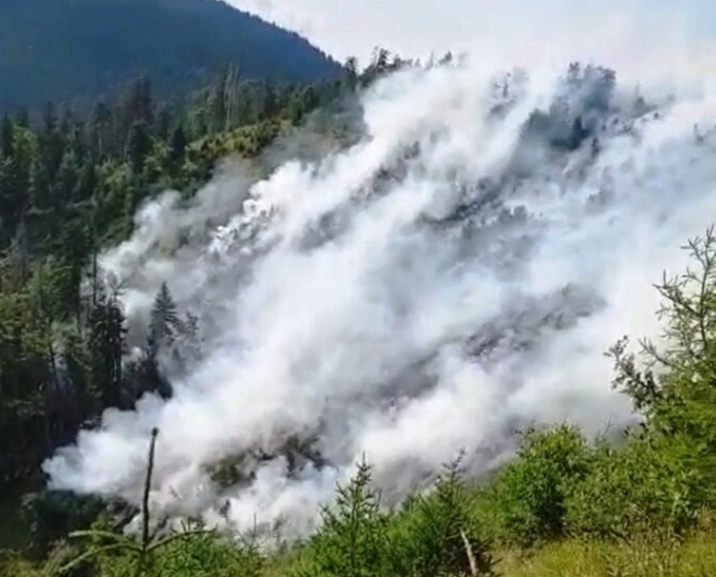 Screenshot_20210823_204738