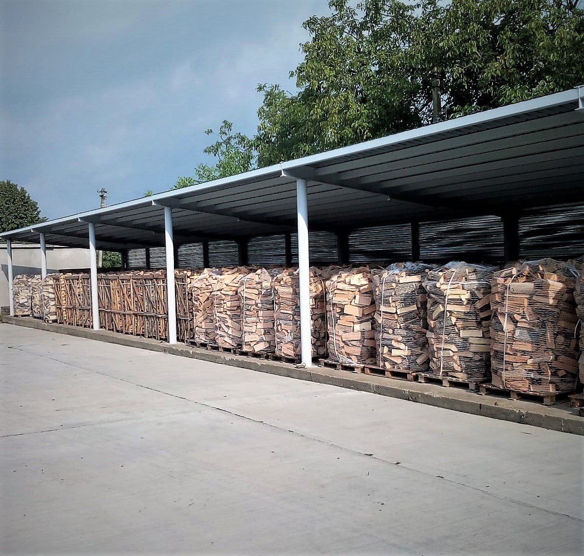 FOTO_ROMSILVA_LEMNE_PENTRU_FOC_2