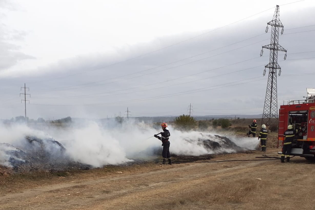 WhatsApp Image 2021-10-08 at 08_58_23