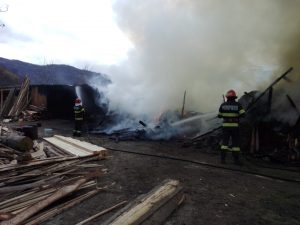 WhatsApp Image 2022-01-01 at 15_27_30(1)