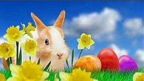 received_1065628140654076