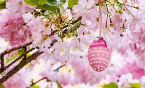 received_357154136444838