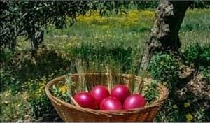 received_398405882127866