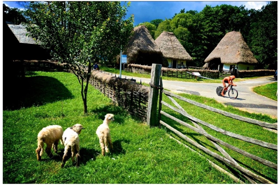 Screenshot_20220603-143239_Yahoo Mail