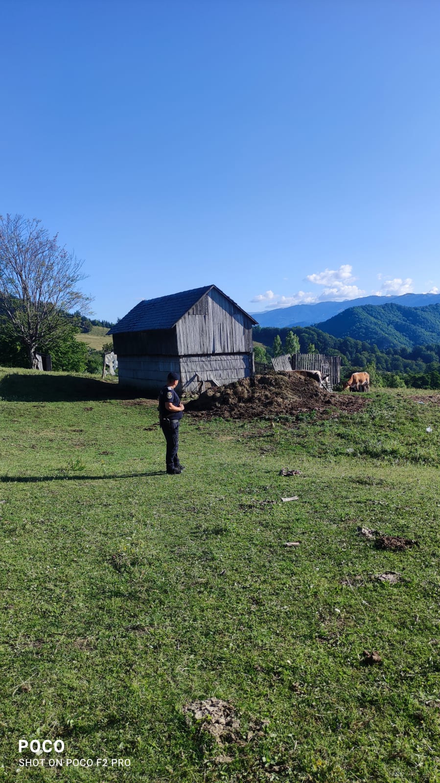 WhatsApp Image 2022-07-12 at 09_41_07