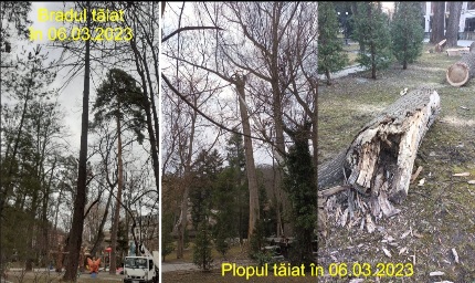 Screenshot_20230307_191153_Yahoo Mail