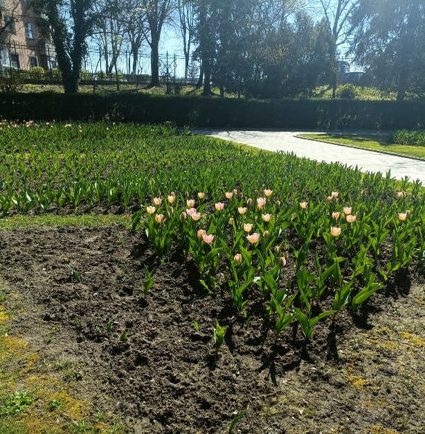 Parc Zavoi
