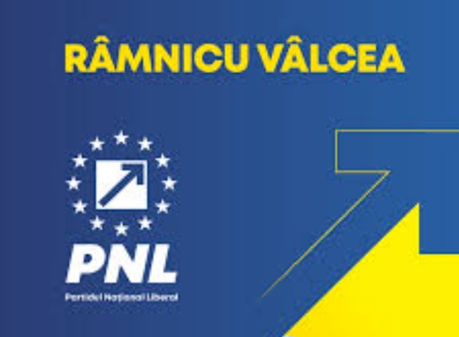 Screenshot_20241108_183542_Google