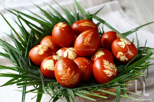 oua-vopsite-cu-coji-de-ceapa-reteta-video-laura-laurentiu