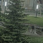 Hoț prins de Poliția Locală cu ajutorul sistemului de supraveghere video