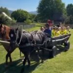 „Copilărie și Călușărie”… la Muzeul Satului Vâlcean!