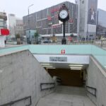 Pasajul pietonal „Dinu Săraru” va fi inaugurat oficial prin dezvelirea unei efigii comemorative a marelui om de cultură vâlcean